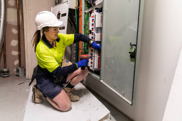 Best Electrical System Inspection  in Grant, MI