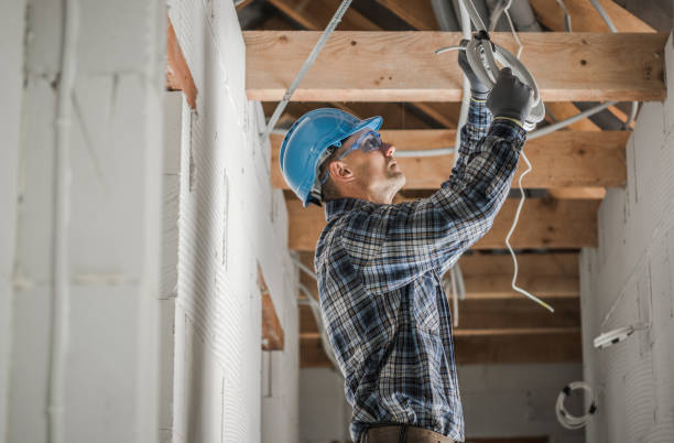 Best Electrician for Home Renovation  in Grant, MI