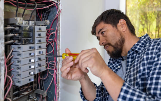 Best Electrical Upgrades for Homes  in Grant, MI
